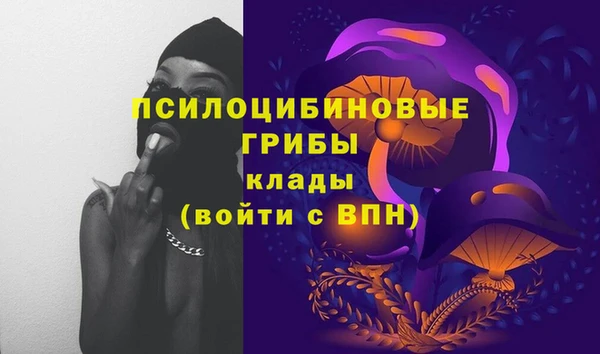 индика Куйбышев