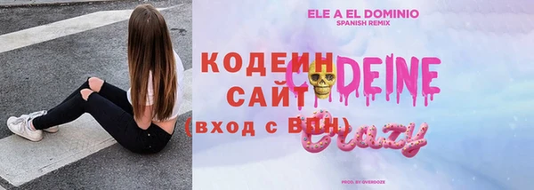 индика Куйбышев