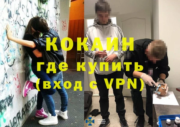 гидра Кулебаки