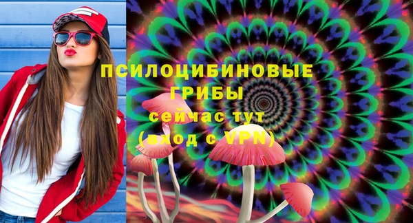 индика Куйбышев