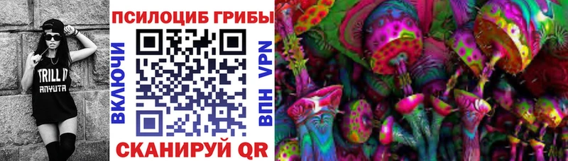 Купить где  Рыльск  Галлюциногенные грибы Psilocybe 